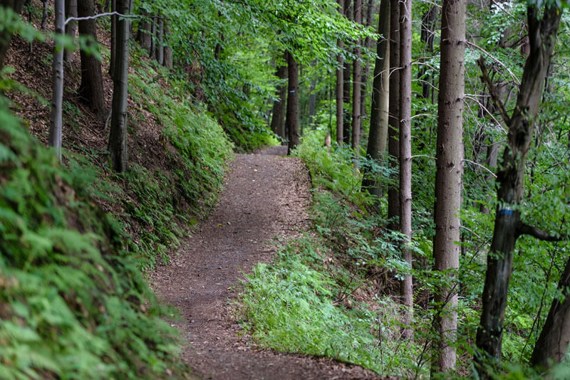 best hikes in kelowna with waterfalls